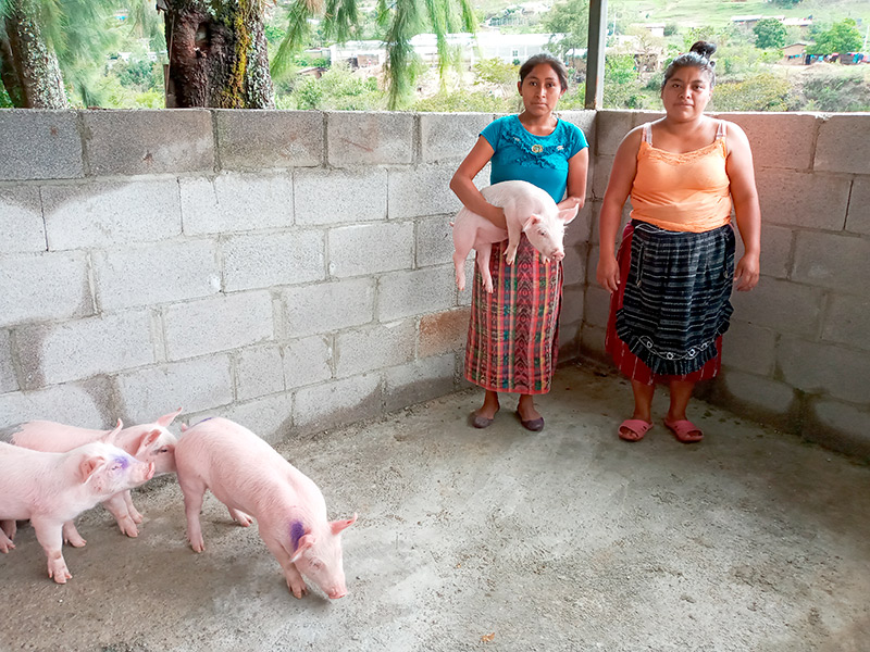Foto Mujeres Mam toman las riendas de sus vidas en Guatemala