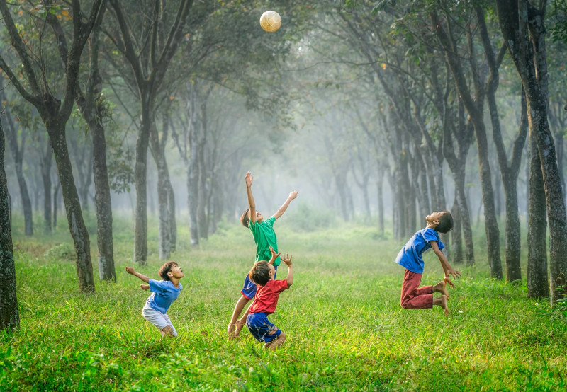 Image post ¿Qué significa el derecho a entornos saludables para niños y niñas? 