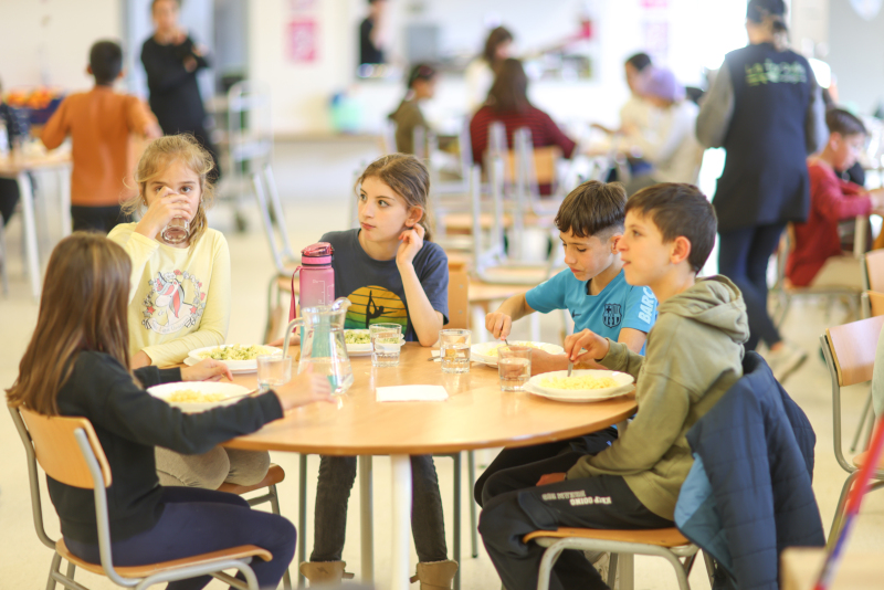 Image post Nutrición y rendimiento escolar: ¿qué relación tienen?