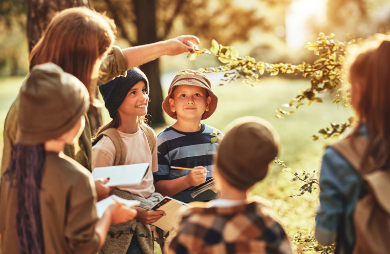 El aula al aire libre: una forma diferente de aprender