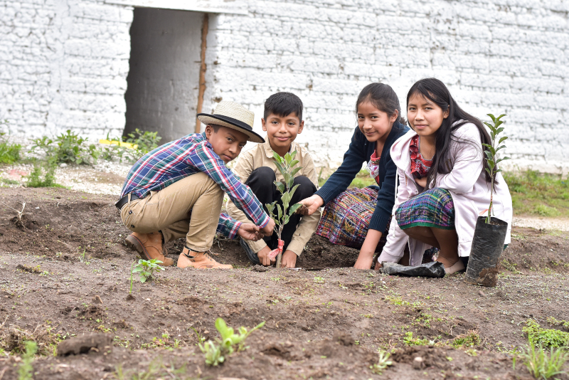 En la escuela se alimentan los sueños  