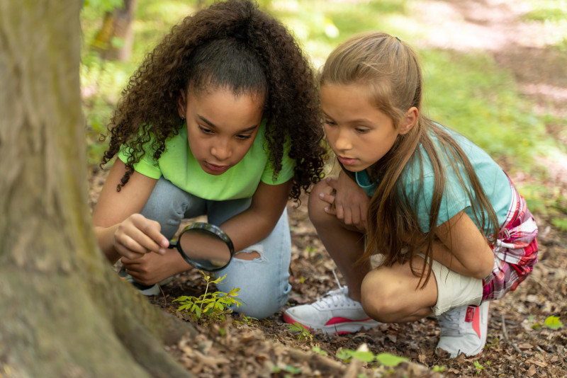 niños jugando en la naturaleza