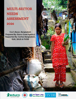 Multi-Sector Needs Assessment 2026